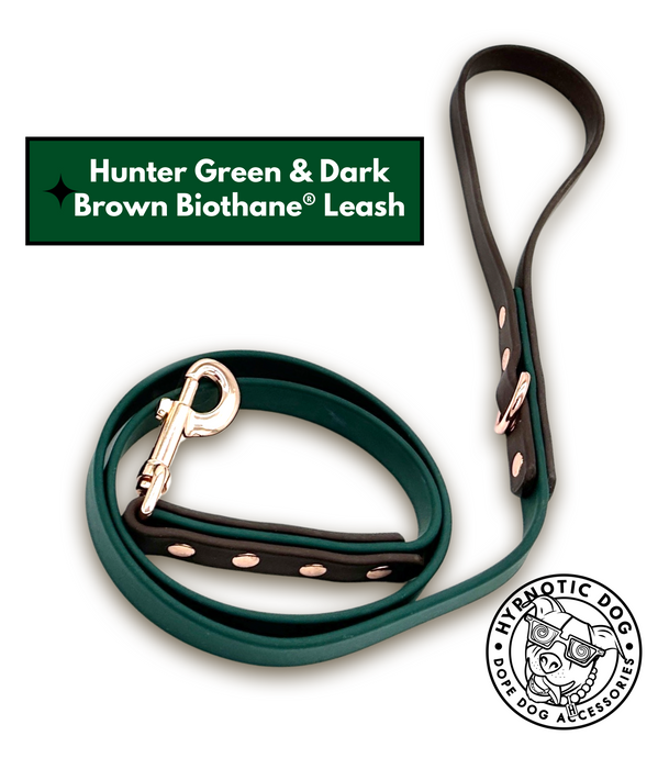 Hunter Green & Dark Brown Biothane Leash ◻️