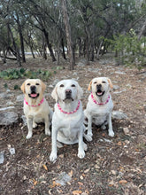 Load image into Gallery viewer, 🟧 18.5" Slip On (Black O-Ring) XOXO Bead Collar- PRE-MADE/FINAL SALE