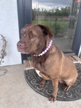 Load image into Gallery viewer, Sugar Frost Bead Collar