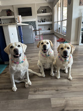 Load image into Gallery viewer, PERSONALIZED Candy Sweetheart Bead Collar