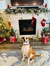 Load image into Gallery viewer, Mistletoe Glam Bead Collar