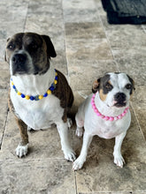 Load image into Gallery viewer, University of Michigan Wolverines 🏈 Inspired Bead Collar