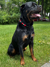 Load image into Gallery viewer, Red &amp; Black Skull Bead Collar