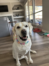 Load image into Gallery viewer, PERSONALIZED Candy Sweetheart Bead Collar