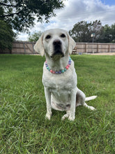 Load image into Gallery viewer, Pixie Glam Bead Collar