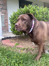Load image into Gallery viewer, Sugar Frost Bead Collar