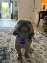 Load image into Gallery viewer, Purple Ombre Acrylic Bead Collar