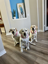 Load image into Gallery viewer, Pink Hearts Glitz Bead Collar