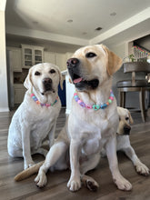 Load image into Gallery viewer, PERSONALIZED Candy Sweetheart Bead Collar