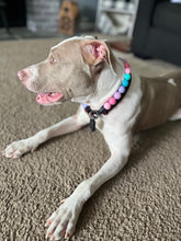 Load image into Gallery viewer, Bubblegum Acrylic Bead Collar