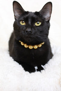 🟧 10" Neck Measure *Black Plastic Buckle* Mini Golden Yellow Pearl - PRE-MADE/FINAL SALE