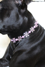 Load image into Gallery viewer, Pink &amp; Purple Crystal Flowers 🌸 Acrylic Bead Collar [Small Dog/Cat Bead Collar]