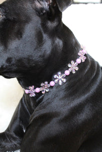 Pink & Purple Crystal Flowers 🌸 Acrylic Bead Collar [Small Dog/Cat Bead Collar]