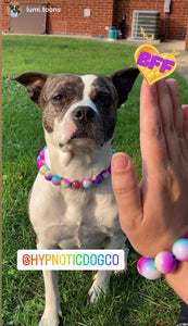 🟧 19" Slip On (Rainbow Martingale Chain) Rainbow Tie Dye Acrylic Bead Collar - PRE-MADE/FINAL SALE