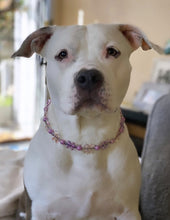Load image into Gallery viewer, 🟧 18" Slip On (Black O-Ring) Pink &amp; Purple Crystal Flowers 🌸 Acrylic Bead Collar - PRE-MADE/FINAL SALE