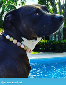 Rose Gold Champagne Bead Collar