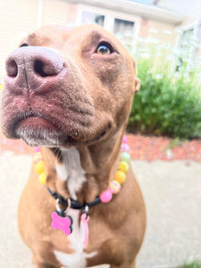 Citrus Sunrise Bead Collar