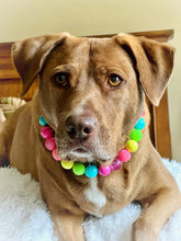 Load image into Gallery viewer, 🟧 19&quot; Slip On (Black O-Ring) Neon Rainbow 🌈 Bead Collar - PRE-MADE/FINAL SALE