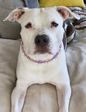 Load image into Gallery viewer, 🟧 18" Slip On (Black O-Ring) Pink &amp; Purple Crystal Flowers 🌸 Acrylic Bead Collar - PRE-MADE/FINAL SALE