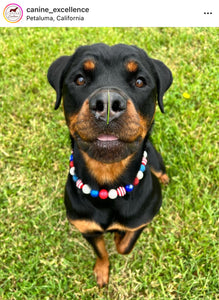 Americana Glam Bead Collar