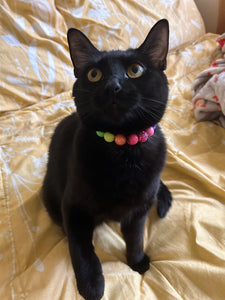 Neon Rainbow MINI [Small Dog/Cat Bead Collar]