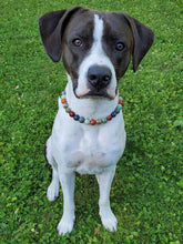 Load image into Gallery viewer, Medium Rainbow Ceramic [Small Dog/Cat Bead Collar]