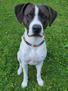 Medium Rainbow Ceramic [Small Dog/Cat Bead Collar]