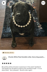 Chunky White Pearls Acrylic Bead Collar