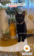 Load image into Gallery viewer, 🟧 9&quot; *Neck Measure* (Cat Breakaway) Mini Pink Midnight Safari - PRE-MADE/FINAL SALE