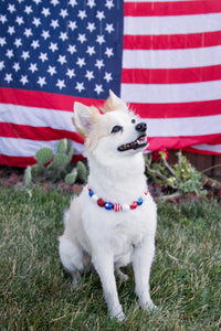 Americana Glam Bead Collar