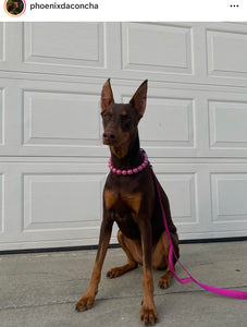 Magenta Rain [Scuffed] Acrylic Bead Collar - SALE