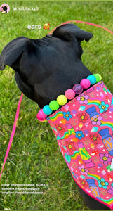 🟧 19" Slip On (Black O-Ring) Neon Rainbow 🌈 Bead Collar - PRE-MADE/FINAL SALE