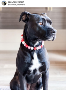 🟧 19" Slip On (Black O-Ring) Be My Valentine Bead Collar - PRE-MADE/FINAL SALE