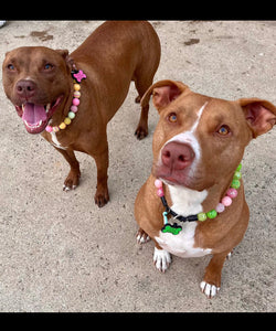 Watermelon Sugar Bead Collar