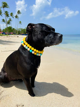 Load image into Gallery viewer, Sunshine Resin Bead Collar