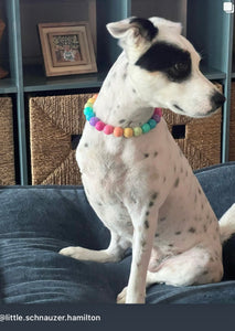 Boho Rainbow Acrylic Bead Collar