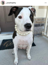 Load image into Gallery viewer, 🟧 18" Slip On (Black O-Ring) Chunky White Pearls Bead Collar - PRE-MADE/FINAL SALE