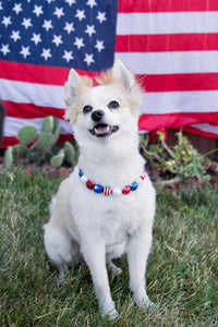 Americana Glam Bead Collar