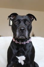 Load image into Gallery viewer, 🟧 18" Slip On (Black O-Ring) Pink &amp; Purple Crystal Flowers 🌸 Acrylic Bead Collar - PRE-MADE/FINAL SALE