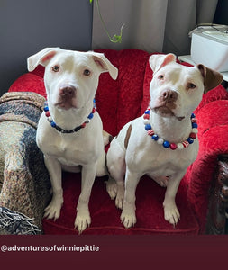 Americana Glam Bead Collar