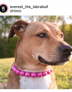 Magenta Rain [Scuffed] Acrylic Bead Collar - SALE