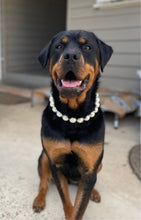 Load image into Gallery viewer, 🟧 18" Slip On (Black O-Ring) Chunky White Pearls Bead Collar - PRE-MADE/FINAL SALE
