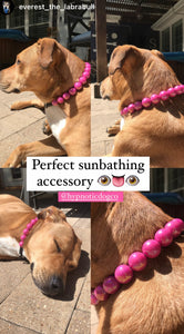 Magenta Rain [Scuffed] Acrylic Bead Collar - SALE