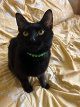 Load image into Gallery viewer, Monster Green XS Acrylic [Small Dog/Cat Bead Collar]
