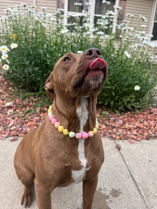 Citrus Sunrise Bead Collar