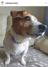 Load image into Gallery viewer, Pastel Rainbow MINI Acrylic [Small Dog/Cat Bead Collar]