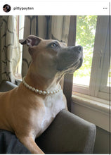Load image into Gallery viewer, 🟧 16&quot; Slip On (Rose Gold Martingale Chain) Mini White Pearl Bead Collar - PRE-MADE/FINAL SALE