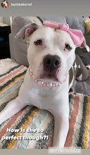 Load image into Gallery viewer, 🟧 18.5" Slip On (Black O-Ring) 💗 Pearly Pink Sweetheart 💗 Bead Collar - PRE-MADE/FINAL SALE