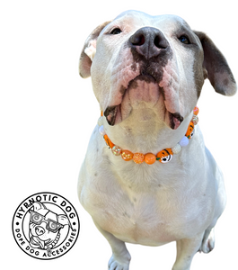 Jack O' Lantern Bead Collar