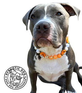 Jack O' Lantern Bead Collar